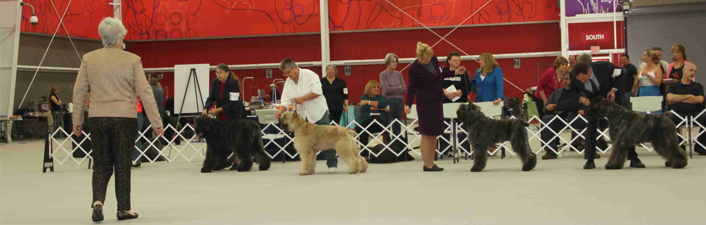 THE SPECIALTY SHOWING VERY WELL